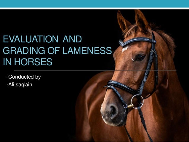 Evaluation Of Lameness In Horses