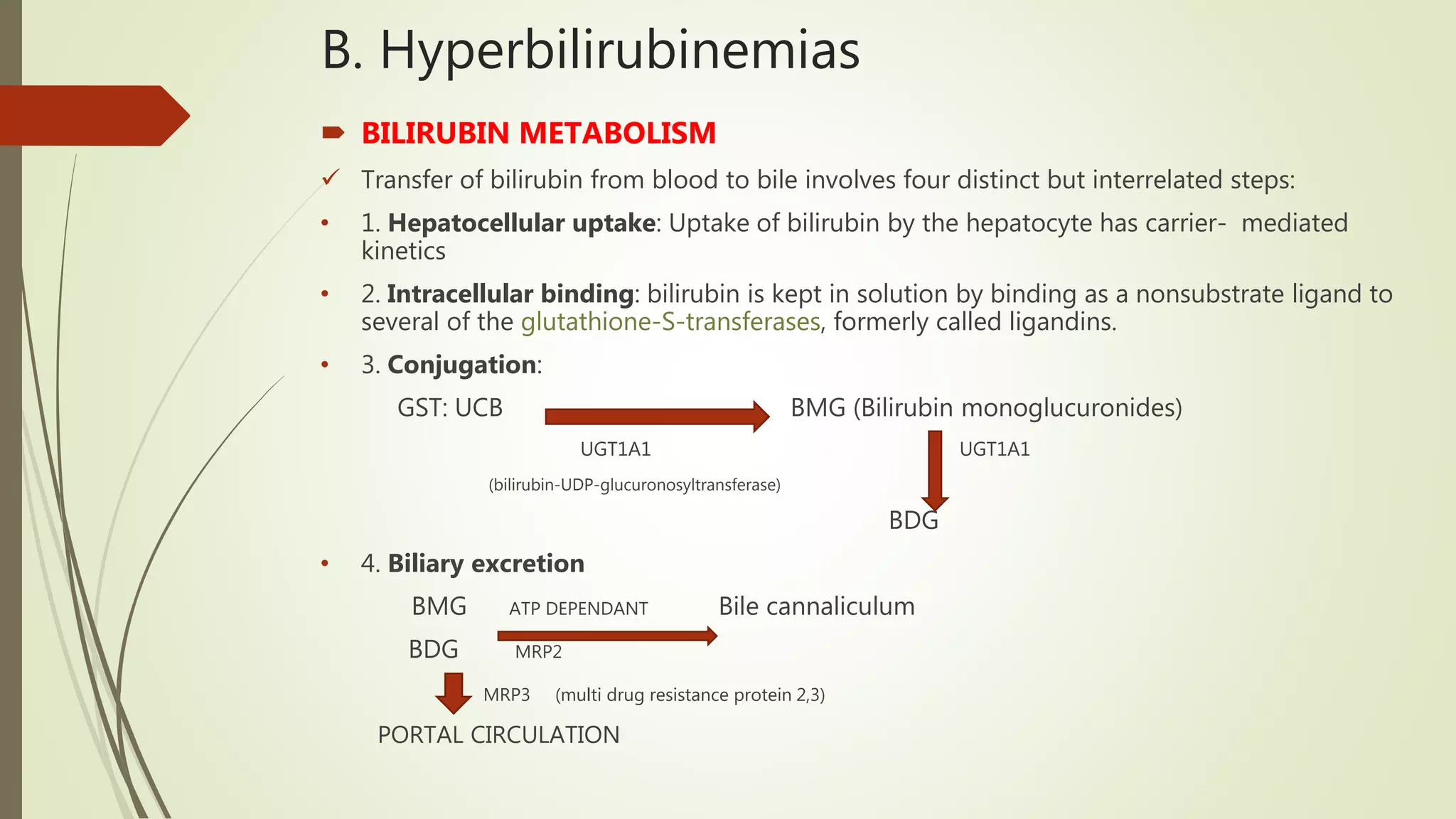 B. Hyperbilirubinemias
 BILIRUBIN METABOLISM
 Transfer of bilirubin from blood to bile involves four distinct but interrelated steps:
• 1. Hepatocellular uptake: Uptake of bilirubin by the hepatocyte has carrier- mediated
kinetics
• 2. Intracellular binding: bilirubin is kept in solution by binding as a nonsubstrate ligand to
several of the glutathione-S-transferases, formerly called ligandins.
• 3. Conjugation:
GST: UCB BMG (Bilirubin monoglucuronides)
UGT1A1 UGT1A1
(bilirubin-UDP-glucuronosyltransferase)
BDG
• 4. Biliary excretion
BMG ATP DEPENDANT Bile cannaliculum
BDG MRP2
MRP3 (multi drug resistance protein 2,3)
PORTAL CIRCULATION
 