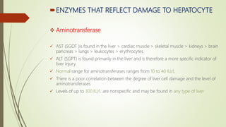 ENZYMES THAT REFLECT DAMAGE TO HEPATOCYTE
 Aminotransferase
 AST (SGOT )is found in the liver > cardiac muscle > skeletal muscle > kidneys > brain
pancreas > lungs > leukocytes > erythrocytes.
 ALT (SGPT) is found primarily in the liver and is therefore a more specific indicator of
liver injury
 Normal range for aminotransferases ranges from 10 to 40 IU/L
 There is a poor correlation between the degree of liver cell damage and the level of
aminotransferases
 Levels of up to 300 IU/L are nonspecific and may be found in any type of liver
 
