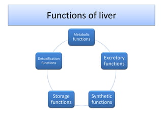 Functions of liver
Metabolic
functions
Excretory
functions
Synthetic
functions
Storage
functions
Detoxification
functions
 