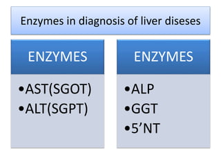 Enzymes in diagnosis of liver diseses
ENZYMES
•AST(SGOT)
•ALT(SGPT)
ENZYMES
•ALP
•GGT
•5’NT
 