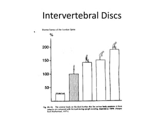 Evaluation of Low Back Pain (Ray).ppt