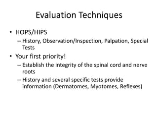 Evaluation of Low Back Pain (Ray).ppt