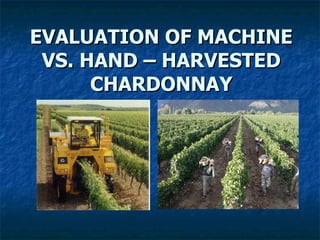 EVALUATION OF MACHINE VS. HAND – HARVESTED CHARDONNAY 