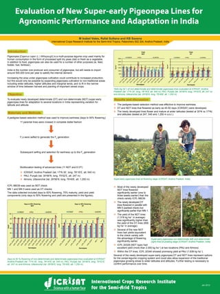 Evaluation of New Super-early Pigeonpea Lines for
Agronomic Performance and Adaptation in India
M Isabel Vales, Rafat Sultana and KB Saxena
International Crops Research Institute for the Semi-Arid Tropics, Patancheru 502 324, Andhra Pradesh, India
Introduction
Pigeonpea [Cajanus cajan (L.) Millspaugh] is a multi-purpose legume crop used mainly for
human consumption in the form of processed split dry peas (dal) or fresh as a vegetable.
In addition to food, pigeonpea can also be used for a number of other purposes (ie, feed,
fodder, fuel, fertilizer).
India is the number one producer and consumer of pigeonpea, but still needs to import
around 500,000 tons per year to satisfy the internal demand.
Increasing the area under pigeonpea cultivation could contribute to increased production,
but this would only be possible by expanding pigeonpea cultivation to non-traditional areas
including wider latitudes, higher altitudes and marginal lands, and to fit in the narrow
window of time between harvest and planting of important cereal crops.
Objective
To evaluate newly developed determinate (DT) and non-determinate (NDT) super-early
pigeonpea lines for adaptation to several locations in India representing variation for
latitude and altitude.
Materials and Methods
A pedigree-based selection method was used to improve earliness (days to 50% flowering)
ICPL 88039 was used as NDT check.
MN 1 and MN 5 were used as DT checks.
The data collected included days to 50% flowering, 75% maturity, yield and yield
components (only days to 50% flowering and yield are presented in the figures).
Results and discussion
™™ The pedigree-based selection method was effective to improve earliness.
™™ DT and NDT lines that flowered as early as 45-50 days (ICRISAT) were developed.
™™ The newly developed lines flower and mature at wider latitudes (tested at 30o
N vs 17o
N)
and altitudes (tested at 247, 545 and 1,250 m a.s.l.).
Days to 50 % flowering of non-determinate and determinate pigeonpea lines evaluated at ICRISAT,
Andhra Pradesh (lat. 17o
N 30’, long. 78o
16’E, alt. 545 m), PAU, Punjab (lat. 30o
56’N, long. 75o
52’E,
alt. 247 m) and Almora, Uttaranchal (lat. 29o
56’N, long. 79o
40E, alt. 1,250 m)
Yield (kg ha-1
) of non-determinate and determinate pigeonpea lines evaluated at ICRISAT, Andhra
Pradesh (lat. 17o
N 30’, long. 78o
16’E, alt. 545 m), PAU, Punjab (lat. 30o
56’N, long. 75o
52’E, alt. 247 m)
and Almora, Uttaranchal (lat. 29o
56’N, long. 79o
40E, alt. 1,250 m)
Super-early pigeonpea lines at flowering stage (ICRISAT, Andhra Pradesh, India)
Super-early pigeonpea non-determinate (left) and determinate
(right) lines at podding stage (ICRISAT, Andhra Pradesh, India)
™™ Most of the newly developed
NDT lines flowered
significantly earlier (one to
three weeks earlier) than the
check variety ICPL 88039.
™™ The newly developed DT
lines flowered in parallel with
MN 5 (earliest check) but
significantly earlier than MN 1.
™™ The yield of the NDT lines
(1,318 kg ha-1
in average)
was significantly higher than
the yield of the DT lines (856
kg ha-1
in average).
™™ Several of the new NDT
lines had yields equivalent
to the check variety with
the advantage of flowering
significantly earlier.
™™ ICPL 20329 (NDT type) had
excellent yield (more than 2,000 kg ha-1
) at two locations (PAU and Almora).
™™ Within the DT lines, ICPL 20340 showed promising yield at PAU (1,938 kg ha-1
).
Several of the newly developed super-early pigeonpea DT and NDT lines represent options
for the cereal-legume cropping system and could also allow expansion of the traditional
pigeonpea growing areas to wider latitudes and altitudes. Further testing is necessary to
confirm performance over time.
Jan 2012
11 parental lines were crossed in complete diallel fashion
F1
s were selfed to generate the F2
generation
Subsequent selfing and selection for earliness up to the F5
generation
Multilocation testing of advanced lines (11 NDT and 6 DT)
™™ ICRISAT, Andhra Pradesh (lat. 17o
N 30’, long. 78o
16’E, alt. 545 m)
™™ PAU, Punjab (lat. 30o
56’N, long. 75o
52’E, alt. 247 m)
™™ Almora, Uttaranchal (lat. 29o
56’N, long. 79o
40E, alt. 1,250 m)
Days to 50% flowering
NDT
Genotypes Genotypes
Days to 50% flowering
DT
Genotypes Genotypes
Yield
NDT
Yield
DT
 