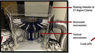 ELECTRO-MECHANICAL
ORTHODONTIC
SIMULATOR
 