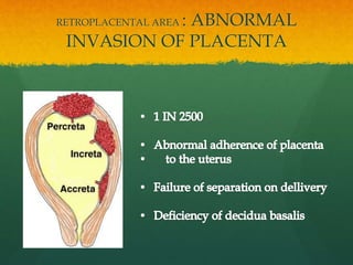 RETROPLACENTAL AREA : ABNORMAL
INVASION OF PLACENTA
 