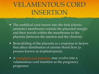  The umbilical cord inserts into the fetal (chorio-
amniotic) membranes outside the placental margin
and then travels within the membranes to the
placenta (between the amnion and the chorion).
 Remodelling of the placenta as a response to factors
that affect distribution of uterine blood flow (a
process known as trophotropism).
 A marginal cord insertion may evolve into a
velamentous cord insertion as the pregnancy
progresses
VELAMENTOUS CORD
INSERTION
 