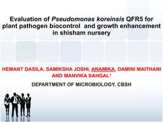 Evaluation of Pseudomonas koreinsis QFR5 for
plant pathogen biocontrol and growth enhancement
in shisham nursery
HEMANT DASILA, SAMIKSHA JOSHI, ANAMIKA, DAMINI MAITHANI
AND MANVIKA SAHGAL1
DEPARTMENT OF MICROBIOLOGY, CBSH
 