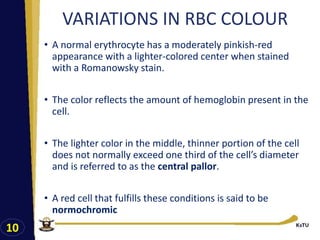 EVALUATION OF RBCs, quantitative analysis of blood cells | PDF