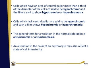 Pallorin Sentence EVALUATION OF RBCs, quantitative analysis of blood cells | PPT
