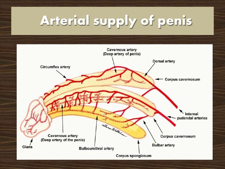 Evaluation of sexual function after prostatectomy SHIM score