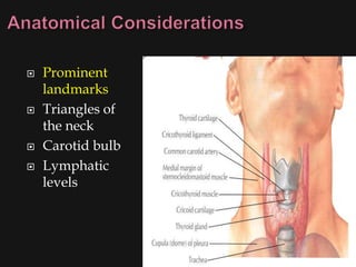    Prominent
    landmarks
   Triangles of
    the neck
   Carotid bulb
   Lymphatic
    levels
 