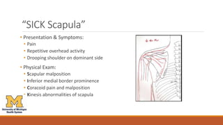 Sickscapula Evaluation of the Painful Shoulder Jacklyn Lindsay Quade_0.ppt