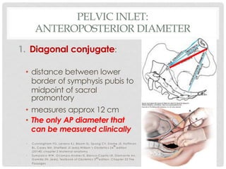 PELVIC INLET:
ANTEROPOSTERIOR DIAMETER
1. Diagonal conjugate:
• distance between lower
border of symphysis pubis to
midpoint of sacral
promontory
• measures approx 12 cm
• The only AP diameter that
can be measured clinically
• C unningham FG , Leveno KJ, Bloom SL, Spong C Y, D ashe JS, Hoffm an
BL, C asey BM , Sheffield JS (eds).W illiam ’s O bstetrics 24
th
edition
(20140; chapter 2 M aternal anatom y
• Sum paico W W , O cam po-Andres IS, Blanco-C apito LR, D iam ante An,
G am illa ZN. (eds). Textbook of O bstetrics 3rd edition. C hapter 23 The
Passages
 