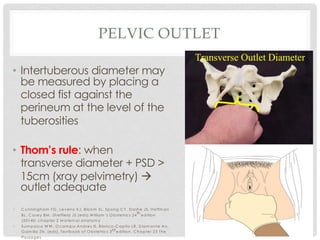 PELVIC OUTLET
• Intertuberous diameter may
be measured by placing a
closed fist against the
perineum at the level of the
tuberosities
• Thom’s rule: when
transverse diameter + PSD >
15cm (xray pelvimetry) à
outlet adequate
• C unningham FG , Leveno KJ, Bloom SL, Spong C Y, D ashe JS, Hoffm an
BL, C asey BM , Sheffield JS (eds).W illiam ’s O bstetrics 24
th
edition
(20140; chapter 2 M aternal anatom y
• Sum paico W W , O cam po-Andres IS, Blanco-C apito LR, D iam ante An,
G am illa ZN. (eds). Textbook of O bstetrics 3rd edition. C hapter 23 The
Passages
 