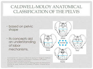 CALDWELL-MOLOY ANATOMICAL
CLASSIFICATION OF THE PELVIS
• based on pelvic
shape
• its concepts aid
an understanding
of labor
mechanisms.
34 Maternal Anatomy and Physiology
SECTION2
FIGURE 2-20 The four parent pelvic types of the Caldwell–Moloy classification. A line passing through the widest transverse diameter
divides the inlets into posterior (P) and anterior (A) segments.
• C unningham FG , Leveno KJ, Bloom SL, Spong C Y, D ashe JS, Hoffm an
BL, C asey BM , Sheffield JS (eds).W illiam ’s O bstetrics 24
th
edition
(20140; chapter 2 M aternal anatom y
• Sum paico W W , O cam po-Andres IS, Blanco-C apito LR, D iam ante An,
G am illa ZN. (eds). Textbook of O bstetrics 3rd edition. C hapter 23 The
Passages
 