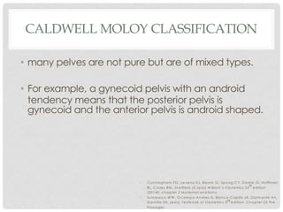 CALDWELL MOLOY CLASSIFICATION
• many pelves are not pure but are of mixed types.
• For example, a gynecoid pelvis with an android
tendency means that the posterior pelvis is
gynecoid and the anterior pelvis is android shaped.
• C unningham FG , Leveno KJ, Bloom SL, Spong C Y, D ashe JS, Hoffm an
BL, C asey BM , Sheffield JS (eds).W illiam ’s O bstetrics 24
th
edition
(20140; chapter 2 M aternal anatom y
• Sum paico W W , O cam po-Andres IS, Blanco-C apito LR, D iam ante An,
G am illa ZN. (eds). Textbook of O bstetrics 3rd edition. C hapter 23 The
Passages
 