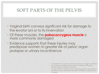 SOFT PARTS OF THE PELVIS
• Vaginal birth conveys significant risk for damage to
the levator ani or to its innervation
• Of these muscles, the pubococcygeus muscle is
more commonly damaged
• Evidence supports that these injuries may
predispose women to greater risk of pelvic organ
prolapse or urinary incontinence
• C unningham FG , Leveno KJ, Bloom SL, Spong C Y, D ashe JS, Hoffm an
BL, C asey BM , Sheffield JS (eds).W illiam ’s O bstetrics 24
th
edition
(20140; chapter 2 M aternal anatom y
• Sum paico W W , O cam po-Andres IS, Blanco-C apito LR, D iam ante An,
G am illa ZN. (eds). Textbook of O bstetrics 3rd edition. C hapter 23 The
Passages
 