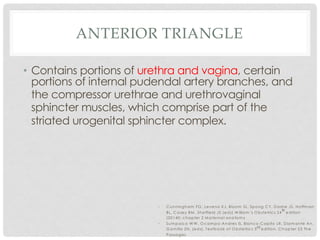ANTERIOR TRIANGLE
• Contains portions of urethra and vagina, certain
portions of internal pudendal artery branches, and
the compressor urethrae and urethrovaginal
sphincter muscles, which comprise part of the
striated urogenital sphincter complex.
• C unningham FG , Leveno KJ, Bloom SL, Spong C Y, D ashe JS, Hoffm an
BL, C asey BM , Sheffield JS (eds).W illiam ’s O bstetrics 24
th
edition
(20140; chapter 2 M aternal anatom y
• Sum paico W W , O cam po-Andres IS, Blanco-C apito LR, D iam ante An,
G am illa ZN. (eds). Textbook of O bstetrics 3rd edition. C hapter 23 The
Passages
 