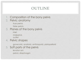 OUTLINE
1. Composition of the bony pelvis
2. Pelvic anatomy
true pelvis
false pelvis
3. Planes of the bony pelvis
inlet
midpelvis
outlet
4. Pelvic shapes
gynecoid, android, anthropoid, platypelloid
5. Soft parts of the pelvis
levator ani
pelvic diaphragm
 