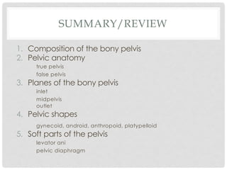 SUMMARY/REVIEW
1. Composition of the bony pelvis
2. Pelvic anatomy
true pelvis
false pelvis
3. Planes of the bony pelvis
inlet
midpelvis
outlet
4. Pelvic shapes
gynecoid, android, anthropoid, platypelloid
5. Soft parts of the pelvis
levator ani
pelvic diaphragm
 