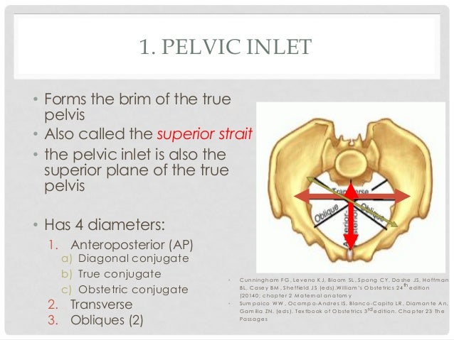 Evaluation Of The Pelvis