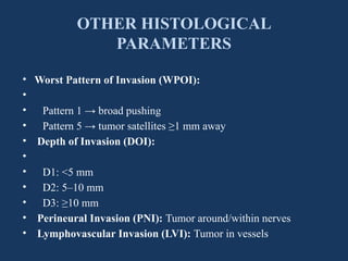 Wpoi Patterns Evaluation of the significance of tumor stromal.pptx