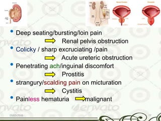 Evaluation of the urologic patient | PPTX