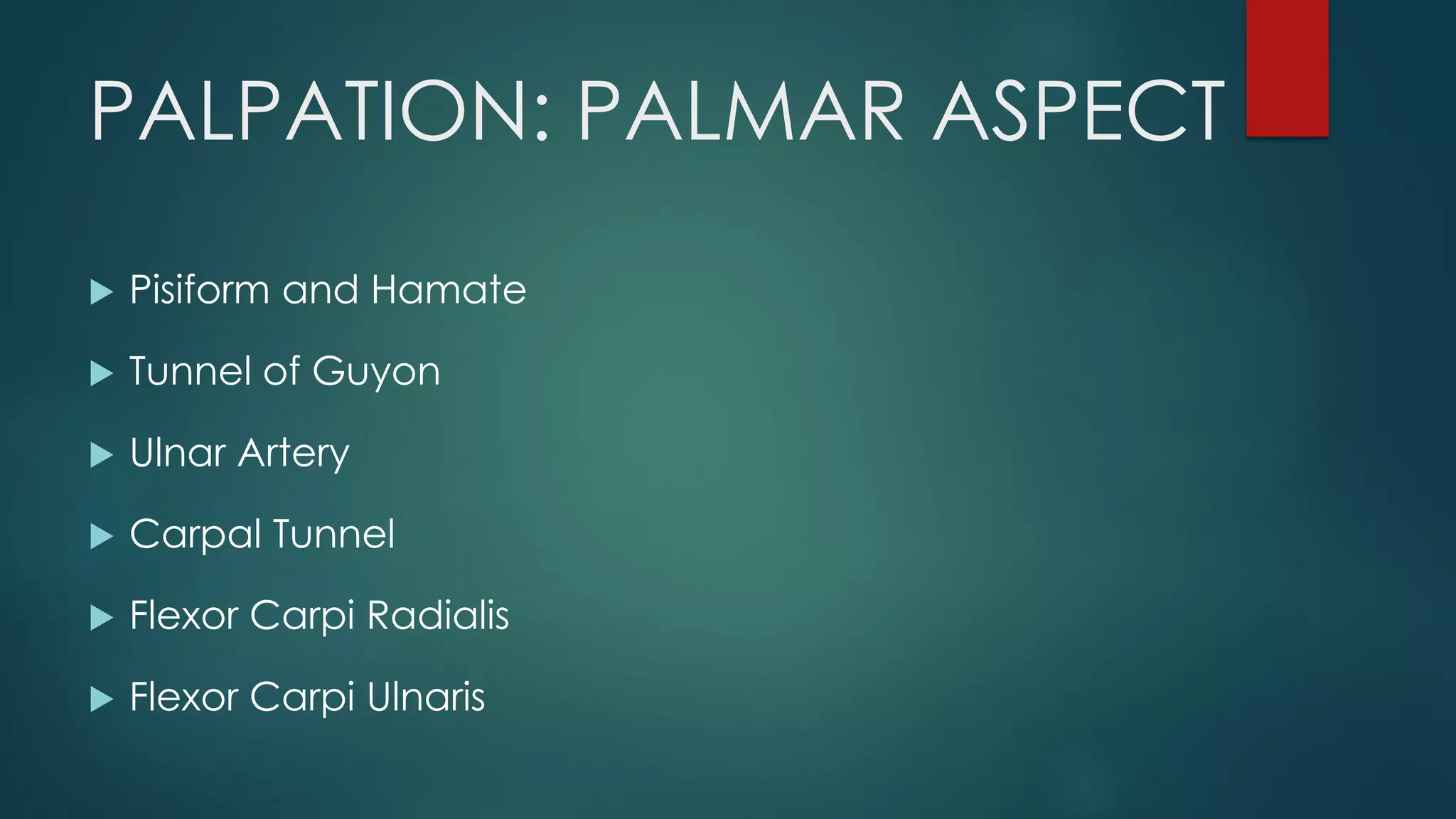 PALPATION: PALMAR ASPECT
 Pisiform and Hamate
 Tunnel of Guyon
 Ulnar Artery
 Carpal Tunnel
 Flexor Carpi Radialis
 Flexor Carpi Ulnaris
 
