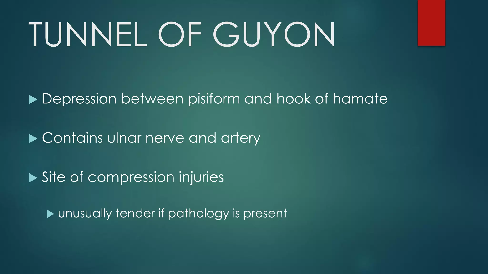 TUNNEL OF GUYON
 Depression between pisiform and hook of hamate
 Contains ulnar nerve and artery
 Site of compression injuries
 unusually tender if pathology is present
 