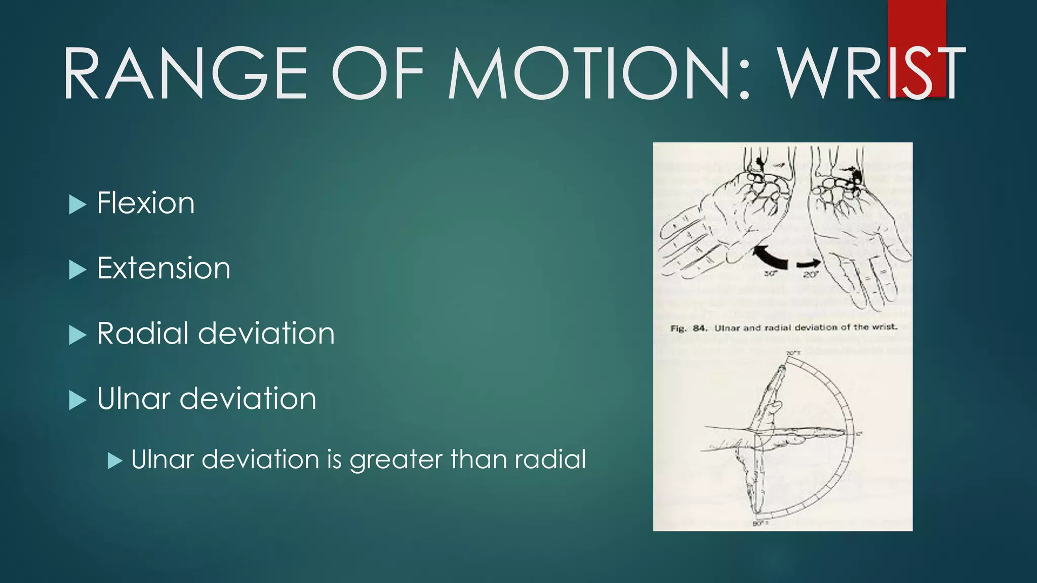 RANGE OF MOTION: WRIST
 Flexion
 Extension
 Radial deviation
 Ulnar deviation
 Ulnar deviation is greater than radial
 