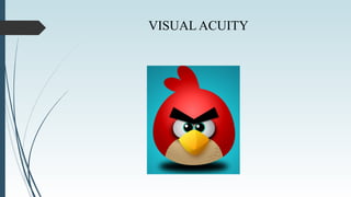 VISUAL ACUITY
 