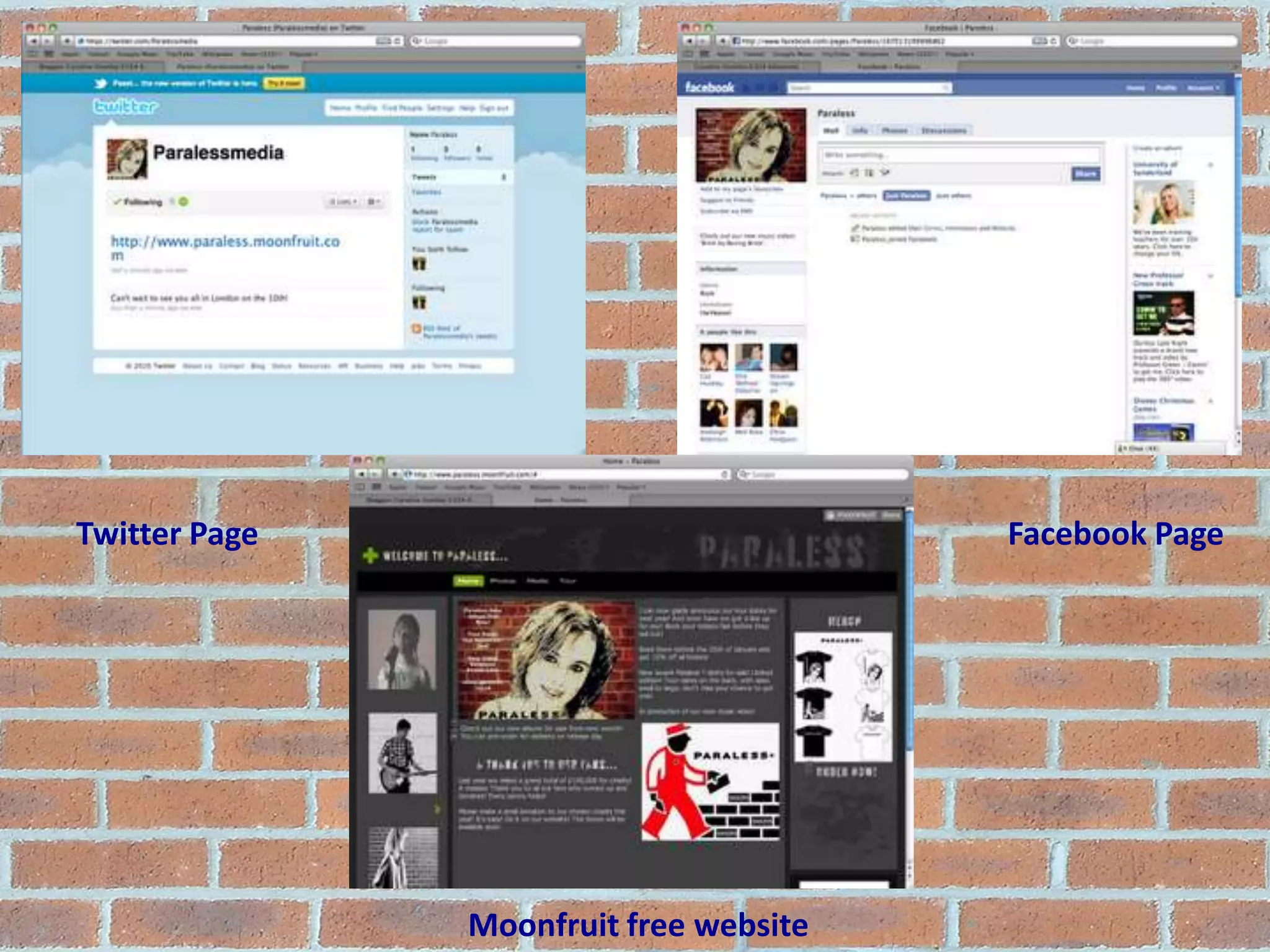 Twitter PageFacebook PageMoonfruit free website