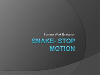 SNAKE- Stop Motion Summer Work Evaluation 