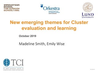New emerging themes for Cluster
evaluation and learning
October 2019
Madeline Smith, Emily Wise
16/10/2019
 