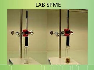 Spme Extraction Method Different Extraction methods, evaluatory ppt.pptx