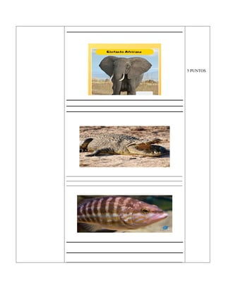 _____________________________________________
_________________________________________________________
_________________________________________________________
_________________________________________________________
_________________________________________________________
5 PUNTOS
 