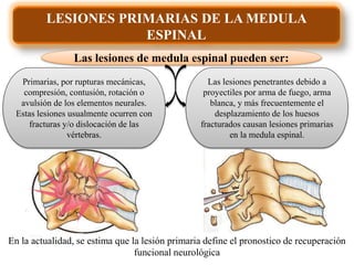 LESIONES PRIMARIAS DE LA MEDULA
ESPINAL
Las lesiones de medula espinal pueden ser:
En la actualidad, se estima que la lesión primaria define el pronostico de recuperación
funcional neurológica
Primarias, por rupturas mecánicas,
compresión, contusión, rotación o
avulsión de los elementos neurales.
Estas lesiones usualmente ocurren con
fracturas y/o dislocación de las
vértebras.
Las lesiones penetrantes debido a
proyectiles por arma de fuego, arma
blanca, y más frecuentemente el
desplazamiento de los huesos
fracturados causan lesiones primarias
en la medula espinal.
 
