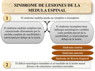 El síndrome medular completo esta
caracterizado clínicamente por la
perdida completa de sensibilidad y
motricidad por debajo de la lesión.
El síndrome incompleto tiene
hallazgos neurológicos variables
como perdida parcial de la
sensibilidad y/o motricidad por
debajo de la lesión:
SINDROME DE LESIONES DE LA
MEDULA ESPINAL
El síndrome medular puede ser completo o incompleto:
Síndrome central
Síndrome anterior
Síndrome de Brown-Sequard
El déficit neurológico inmediato es el resultado de la lesión neural
directa o de estructuras vasculares asociadas.2
1
 