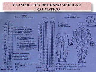 CLASIFICCION DEL DANO MEDULAR
TRAUMATICO
 