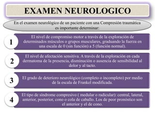 EXAMEN NEUROLOGICO
En el examen neurológico de un paciente con una Compresión traumática
es importante determinar:
El nivel de compromiso motor a través de la exploración de
determinados músculos o grupos musculares, graduando la fuerza en
una escala de 0 (sin función) a 5 (función normal).
1
El nivel de afectación sensitiva. A través de la exploración en cada
dermatoma de la presencia, disminución o ausencia de sensibilidad al
dolor y al tacto.
2
El grado de deterioro neurológico (completo o incompleto) por medio
de la escala de Frankel modificada.3
El tipo de síndrome compresivo ( medular o radicular): central, lateral,
anterior, posterior, cono o cola de caballo. Los de peor pronóstico son
el anterior y el de cono.
4
 
