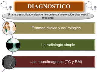 DIAGNOSTICO
Examen clínico y neurológico
La radiología simple
Las neuroimagenes (TC y RM)
Una vez estabilizado el paciente comienza la evolución diagnostica
mediante:
 