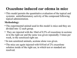 Oxazolone induced ear edema in mice
• This model permits the quantitative evaluation of the topical and
systemic antiinflammatory activity of the compound following
topical administration.
Methodology:
• The experimental animal used in this model is mice and they are
divided into 12 each group.
• They are injected with the 10ml of 0.5% of oxazolone in acetone
in to the right ear and the same was given repeatedly 3 times per
week, to the sensitized right ear.
• In non sensitized animals, acetone alone was given.
• The mice are again injected with 0.01ml of 2% oxazolone
solution inside of the right ear, in which test or standard are
resolved.
 