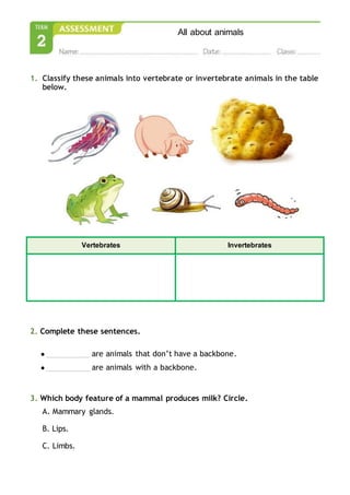 All about animals
1. Classify these animals into vertebrate or invertebrate animals in the table
below.
2. Complete these sentences.
● are animals that don’t have a backbone.
● are animals with a backbone.
3. Which body feature of a mammal produces milk? Circle.
A. Mammary glands.
B. Lips.
C. Limbs.
Vertebrates Invertebrates
 