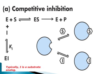 Typically, I is a substrate
analog.
 