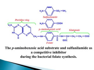 The p-aminobenzoic acid substrate and sulfanilamide as
a competitive inhibitor
during the bacterial folate synthesis.
 