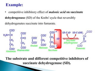 Example:
• competitive inhibitory effect of malonic acid on succinate
dehydrogenase (SD) of the Krebs' cycle that reversibly
dehydrogenates succinate into fumarate.
The substrate and different competitive inhibitors of
succinate dehydrogenase (SD).
 
