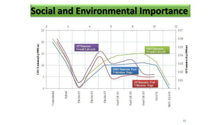 12
Social and Environmental Importance
 
