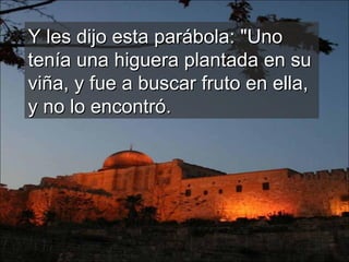 Y les dijo esta parábola: "Uno tenía una higuera plantada en su viña, y fue a buscar fruto en ella, y no lo encontró.  